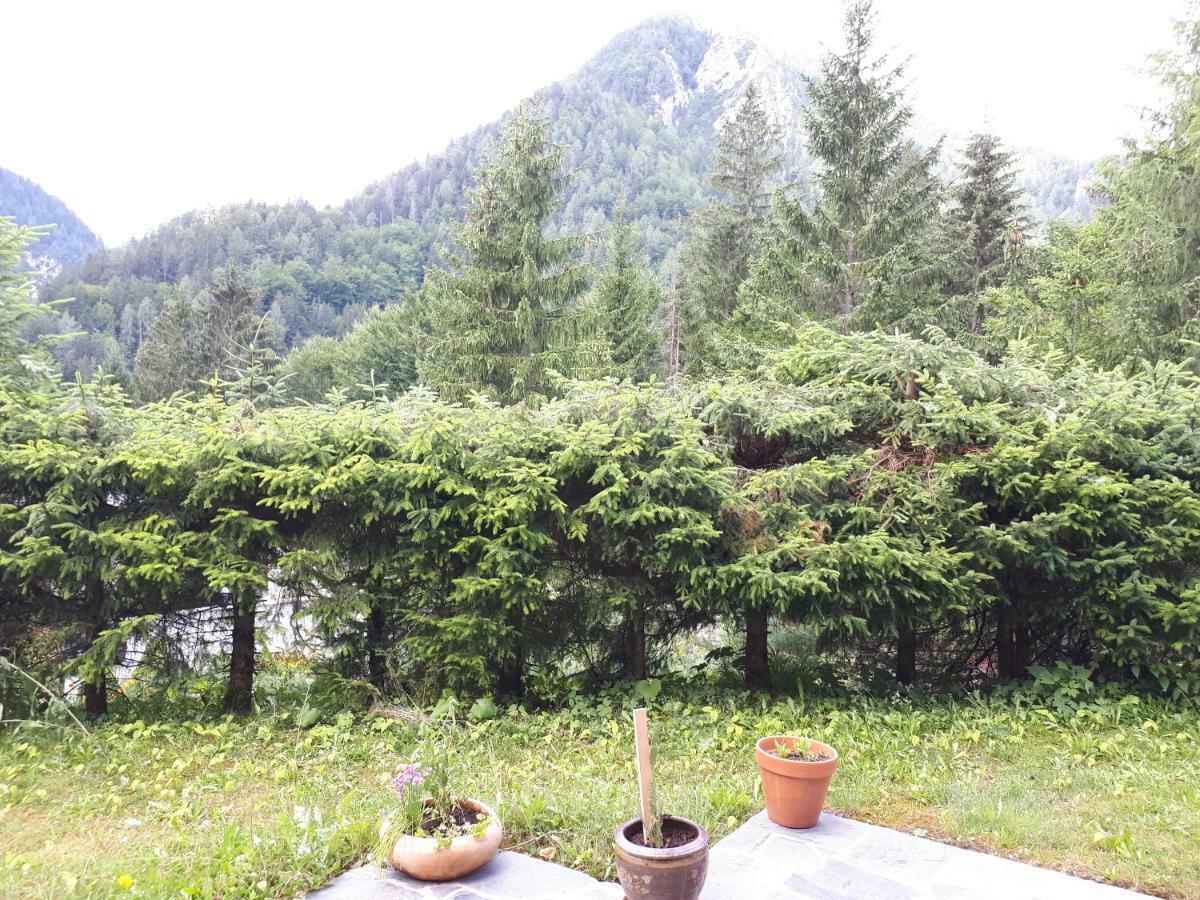 Holiday House Jasna Kranjska Gora Kültér fotó